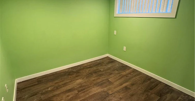 BASEMENT-119 King Street E, Hamilton, ON, L8G 1L2 - 9