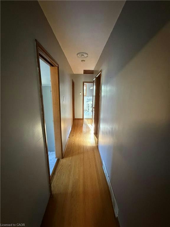 Upper Level-10 Cardill Crescent, Waterloo, ON, N2L 3Y6 - 11