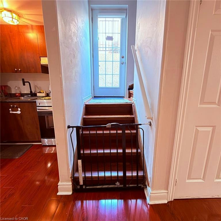 Lower-1449 Spring Garden Court, Mississauga, ON, L5N 8K6 - 5