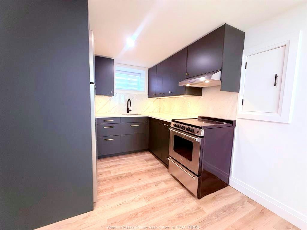 1748 Hall Avenue, Windsor, ON, N8W 2L4 - 9
