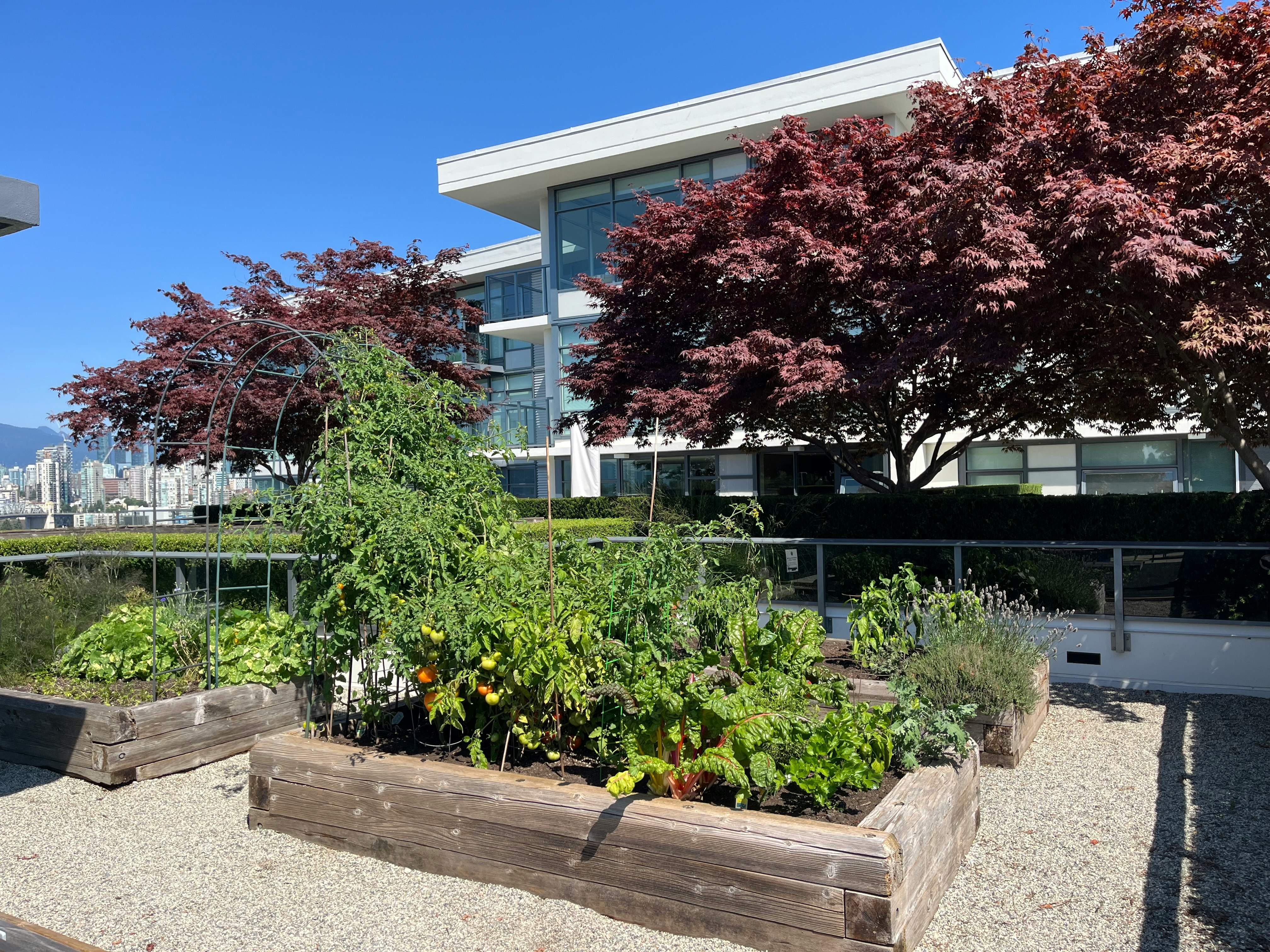 212-1777 West 7th Avenue, Vancouver, BC, V6J 0E5 - 23