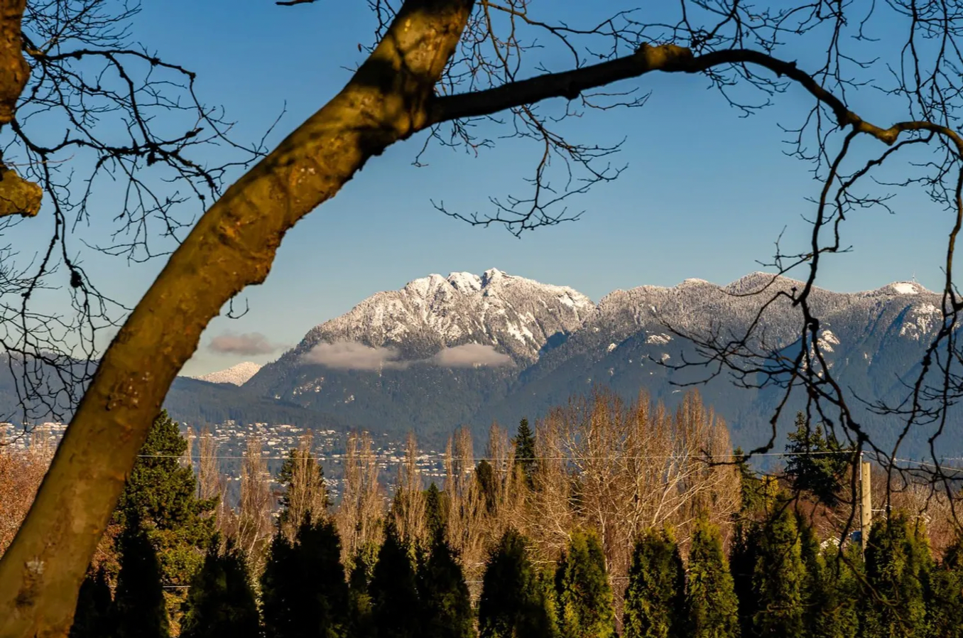 3878 West 8th Avenue, Vancouver, BC, V6R 1Z4 - 5