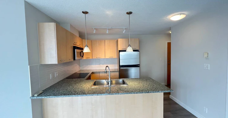 1506-1199 Seymour Street, Vancouver, BC, V6B 1K3