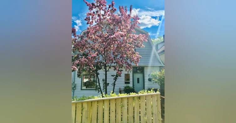 351 Foley Street, Thunder Bay, ON, P7B 1P9