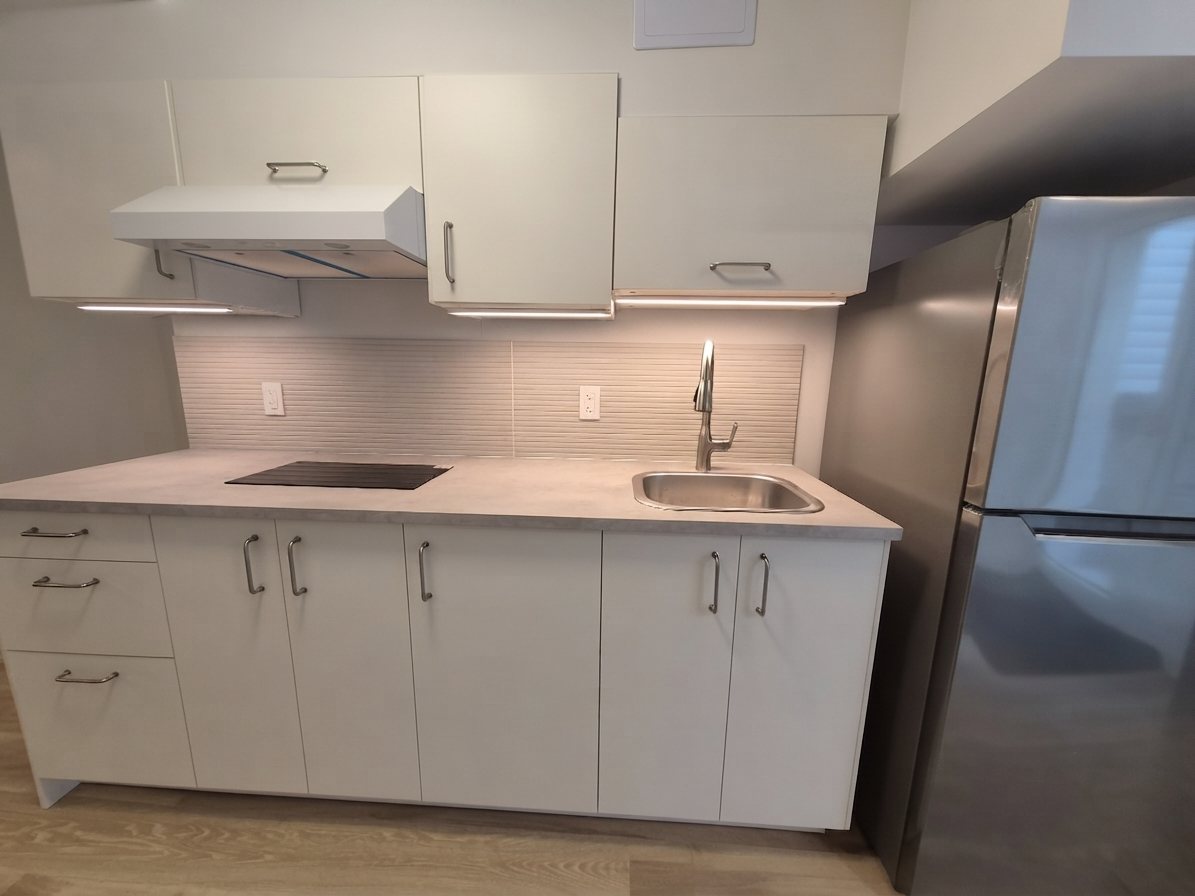 Lower-102 Donlands Avenue, Toronto, ON, M4J 3P1 - 7