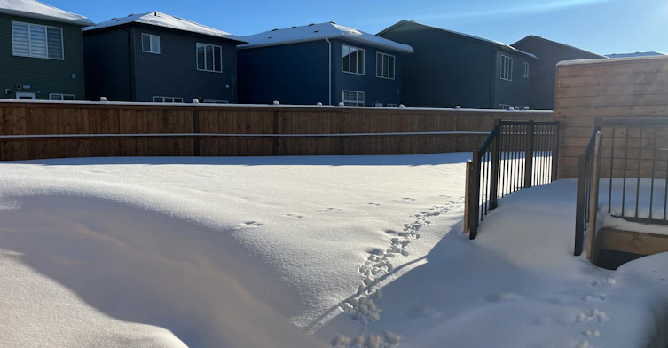 2205 Muckleplum Crescent Southwest, Edmonton, AB, T6X 3G8 - 4