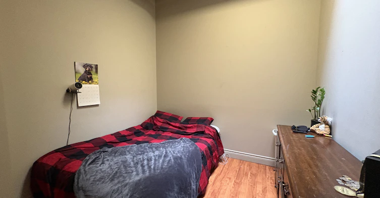 78 Dalhousie Street, Brantford, ON, N3T 2J2 - 11