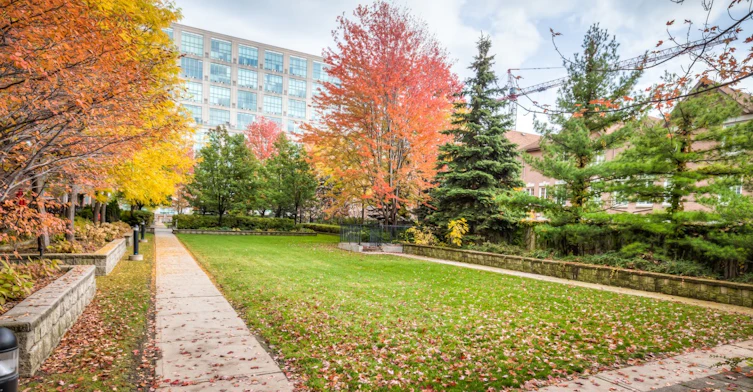 511-190 Manitoba Street, Toronto, ON, M8Y 3Y8 - 22