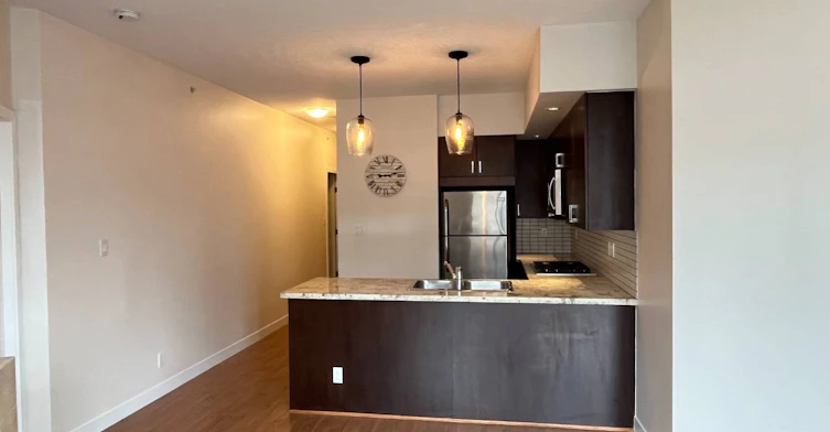 803-1050 Smithe Street, Vancouver, BC, V6E 4T4