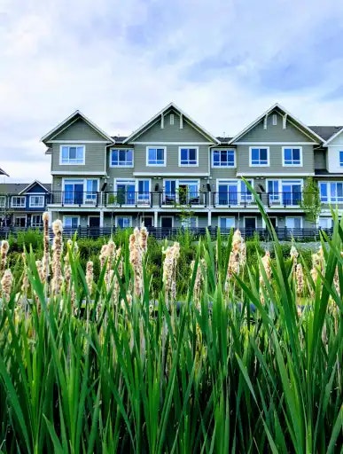 1784 Osprey Drive, Delta, BC, V4M 0B8 - 19