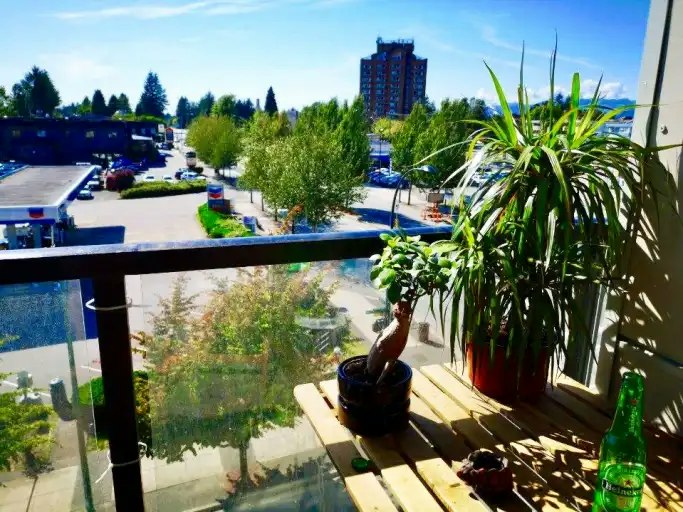 22138 Lougheed Highway, Maple Ridge, BC, V2X 2S8 - 13