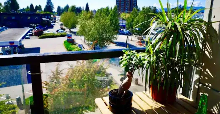 22138 Lougheed Highway, Maple Ridge, BC, V2X 2S8 - 13