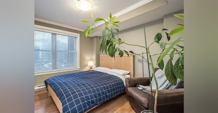 5234 Morris Street, Halifax, NS, B3A 0E3 - 8