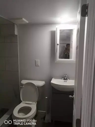 267 Curry Avenue, Windsor, ON, N9B 2B4 - 16