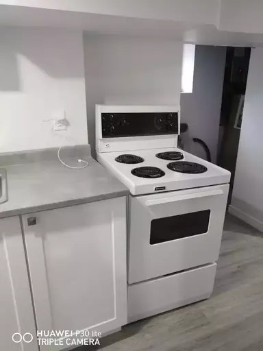 267 Curry Avenue, Windsor, ON, N9B 2B4 - 18
