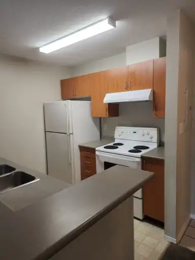 20303 Douglas Crescent, Langley, BC, V3A 8T4 - 12