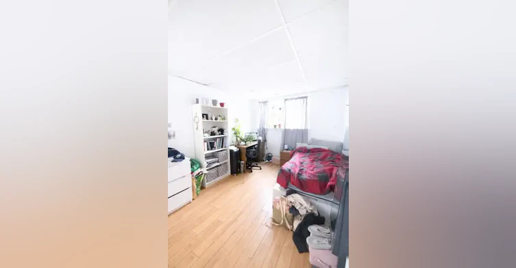 45 Linton Street, Kingston, ON, K7K 1N8 - 7