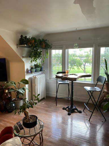 207 Academy Road, Winnipeg, MB, R3M 0E2 - 5