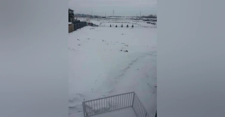 162 Fraser Way, Edmonton, AB, T5Y 0L6 - 10