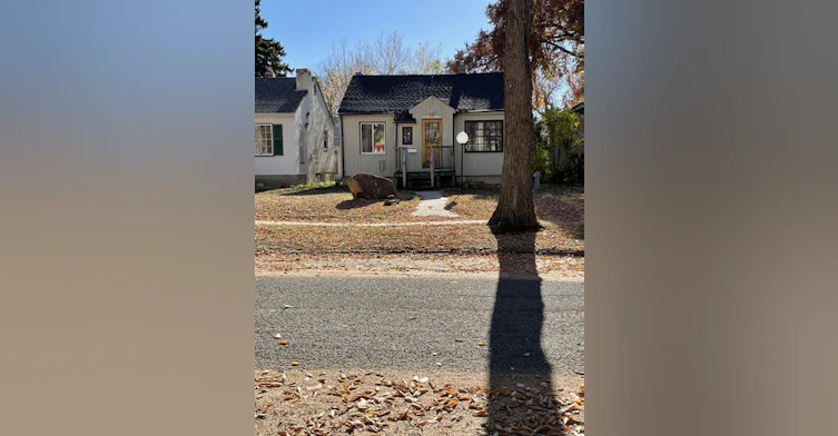 10941 79 Avenue Northwest, Edmonton, AB, T6G 0N9