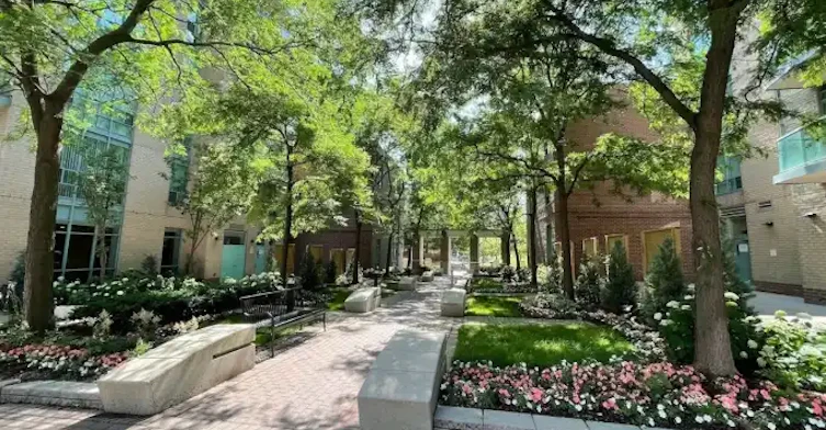 22 Olive Avenue, Toronto, ON, M2N 7G7 - 13