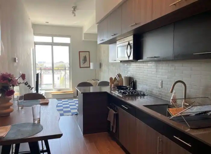 205 Manning Avenue, Toronto, ON, M6J 0E2 - 16