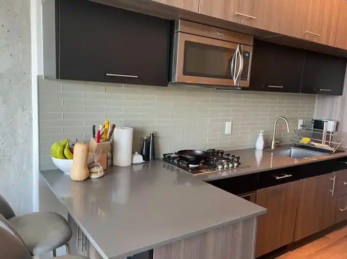 205 Manning Avenue, Toronto, ON, M6J 0E2 - 14