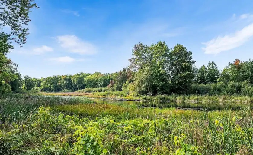 5 Rogers Road, Perth, ON, K7H 1N9 - 14