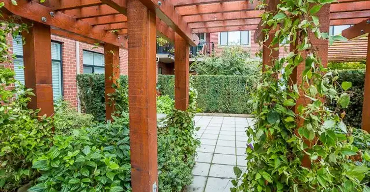 11882 226 Street, Maple Ridge, BC, V2X 2Z7 - 8