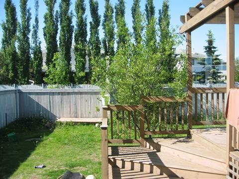 18808 50 Avenue Northwest, Edmonton, AB, T6M 2R7 - 5