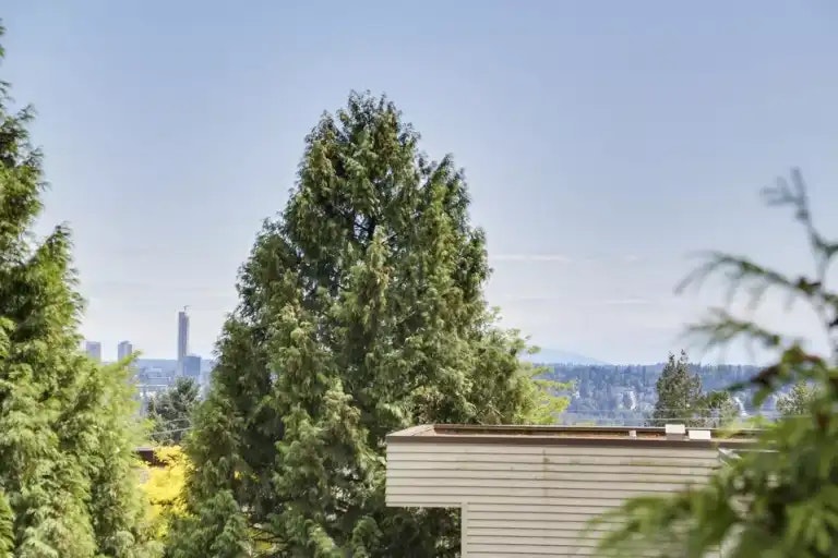 1121 Howie Avenue, Coquitlam, BC, V3J 1T9 - 16
