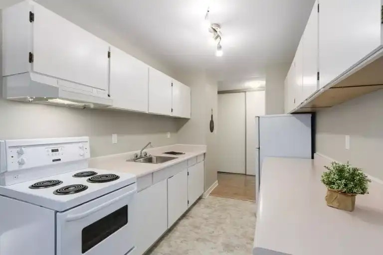 1121 Howie Avenue, Coquitlam, BC, V3J 1T9 - 8
