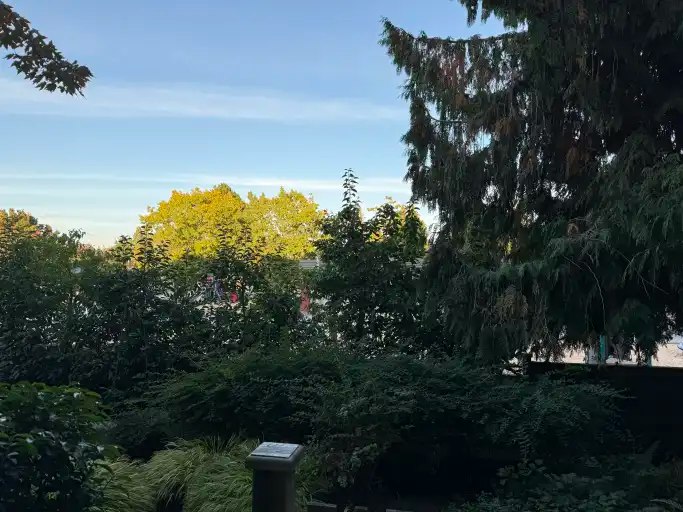 12830 62 Avenue, Surrey, BC, V3X 1S8 - 15