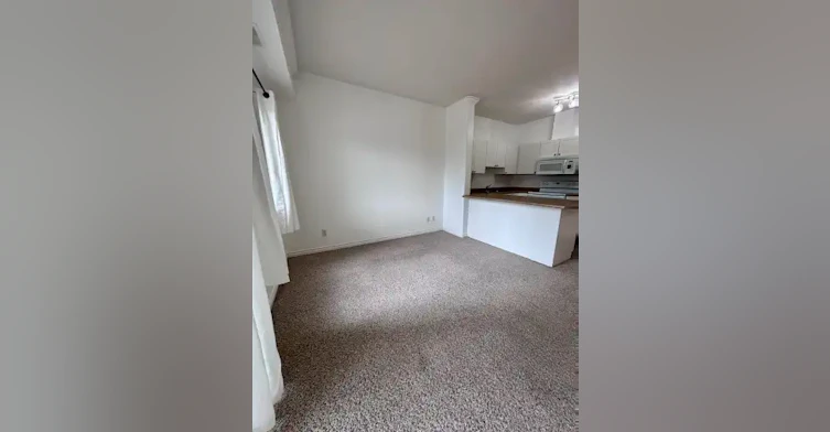 8528 82 Avenue Northwest, Edmonton, AB, T6C 1A9 - 19