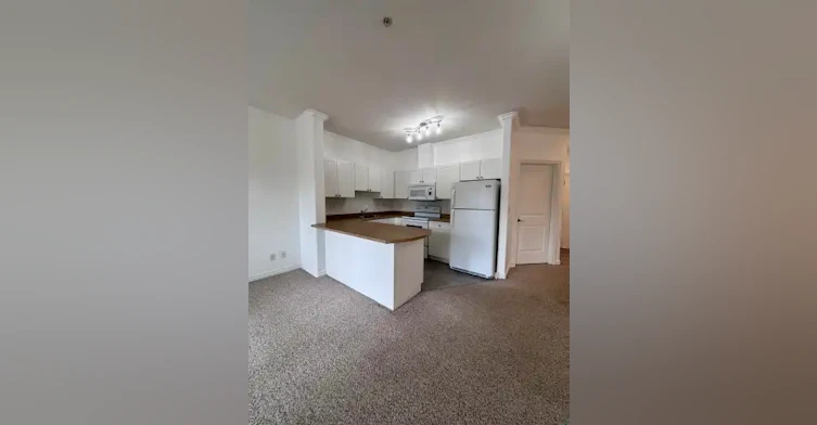8528 82 Avenue Northwest, Edmonton, AB, T6C 1A9