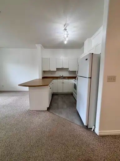 8528 82 Avenue Northwest, Edmonton, AB, T6C 1A9 - 15