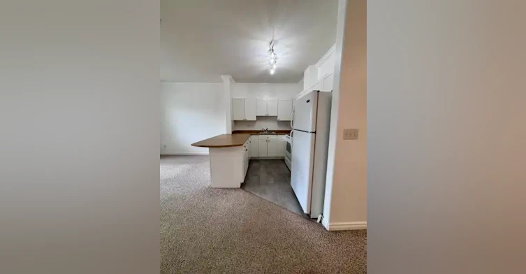 8528 82 Avenue Northwest, Edmonton, AB, T6C 1A9 - 15