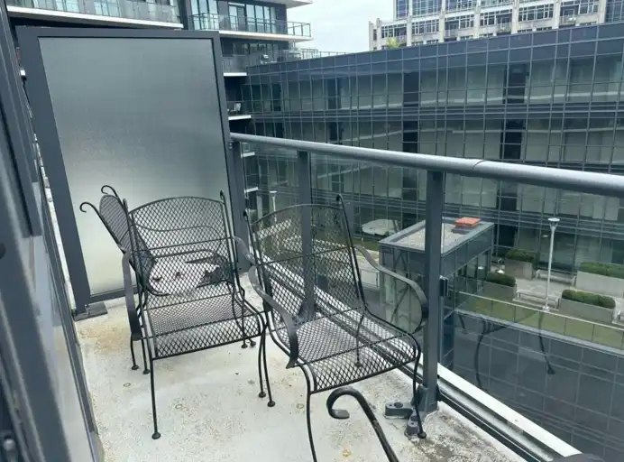 38 Iannuzzi Street, Toronto, ON, M5V 0S2 - 16