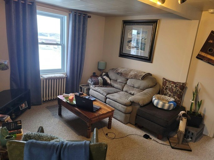 249 Van Horne Street, Greater Sudbury, ON, P3B 1J1 - 4