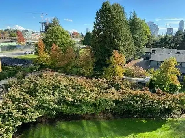 13380 108 Avenue, Surrey, BC, V3T 0E7 - 9