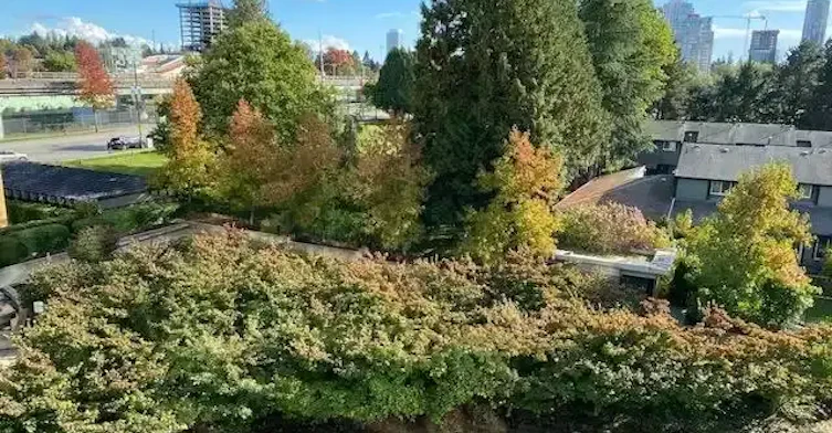 13380 108 Avenue, Surrey, BC, V3T 0E7 - 9