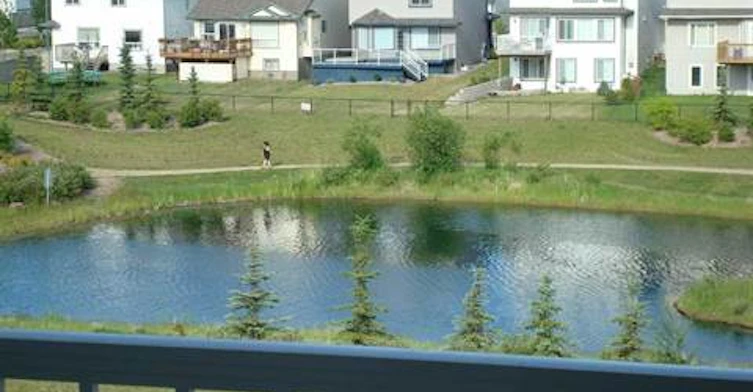 245 Edwards Drive SW, Edmonton, AB, T6X 1J9 - 11
