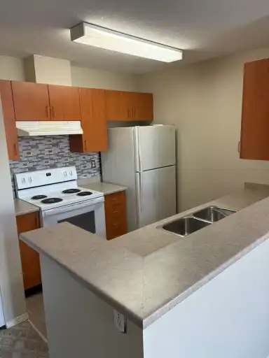 20303 Douglas Crescent, Langley, BC, V3A 8T4 - 4