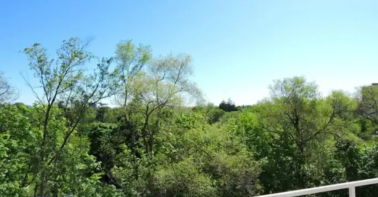 3089 Jaguar Valley Drive, Mississauga, ON, L5A 2J1 - 15