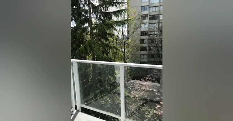 1825 Haro Street, Vancouver, BC, V6G 1H4 - 17