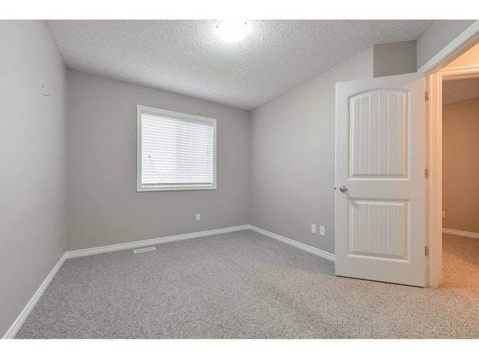 62 Red Canyon Way, Fort Saskatchewan, AB, T8L 0E8 - 15