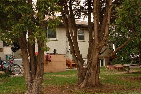 9851 79 Street (Forest Heights, Edmonton, AB, T6A 3G2 - 19