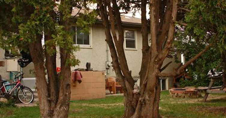 9851 79 Street (Forest Heights, Edmonton, AB, T6A 3G2 - 19