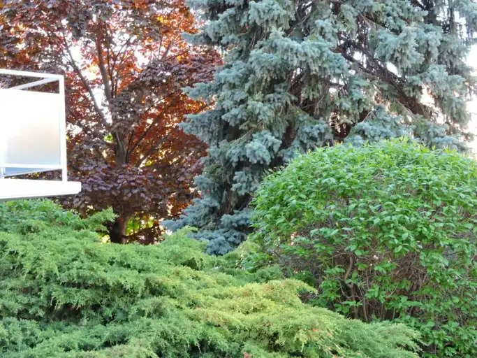 3089 Jaguar Valley Drive, Mississauga, ON, L5A 2J1 - 14
