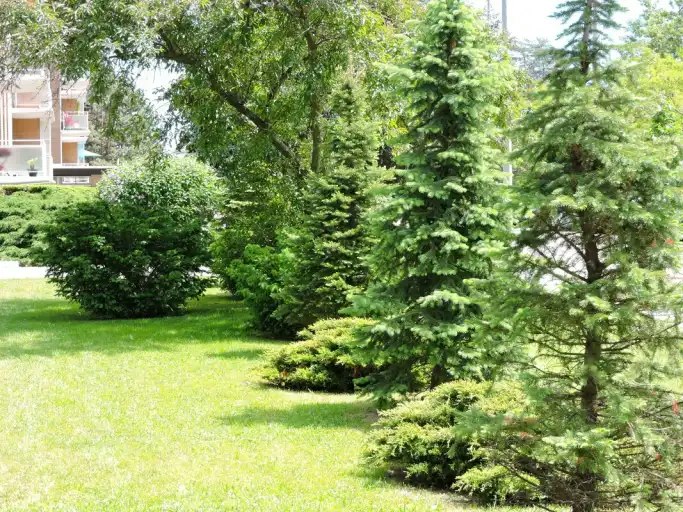 3089 Jaguar Valley Drive, Mississauga, ON, L5A 2J1 - 19